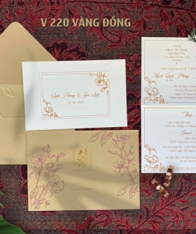 V220 vàng đồng