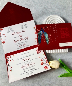 Mẫu thiệp túi gập 3